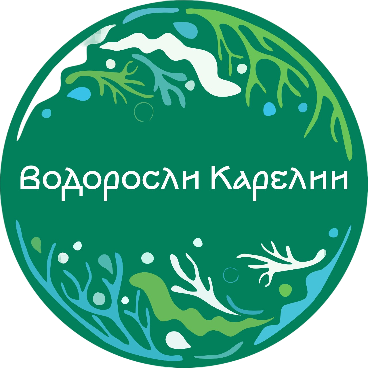InCorp 2.0: Современный корпоративный сайт